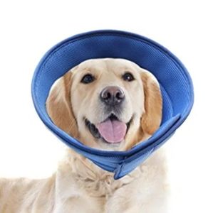 Healing Collar For Dogss